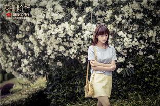 爱的阶梯全集电视剧在线观看,重温情感巅峰,共鉴人生起伏 第1张 爱的阶梯全集电视剧在线观看,重温情感巅峰,共鉴人生起伏 第1张